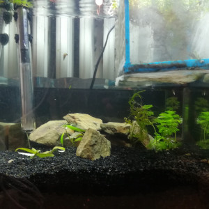 Publication de ArtemusKlegg