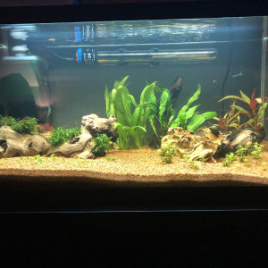 Publication de mathis-kozera