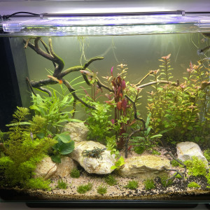 Publication de Powdeur