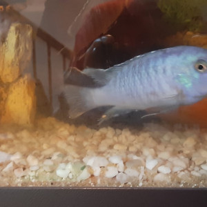 Publication de julie94