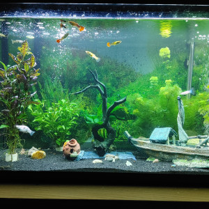 Aquarium
