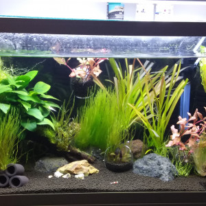60l Crs