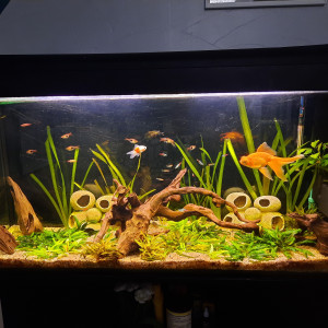 Aquarium 300 litres