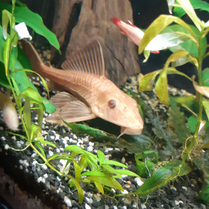 Publication de fanny-vincent