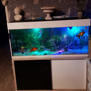 Publication de pika78