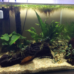 Publication de AlexBetta