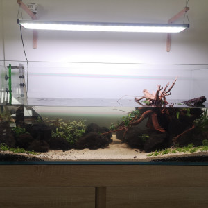 Publication de Olivoliv