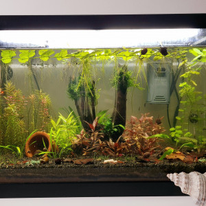 Publication de jess33