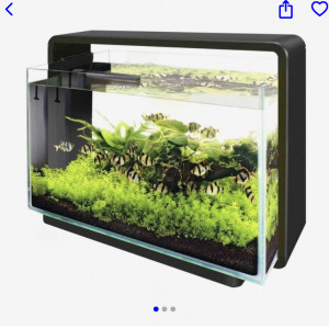 Publication de antho