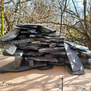 Publication de Firenze57