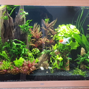 Publication de Rudyrudy21