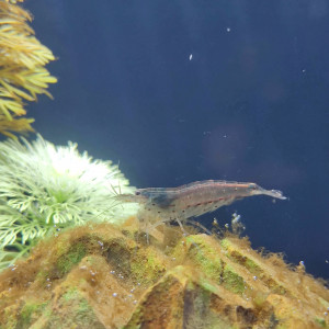 Publication de Cedric12