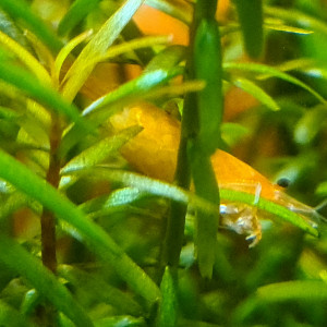 Publication de jess33