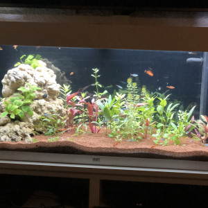 Rio 180