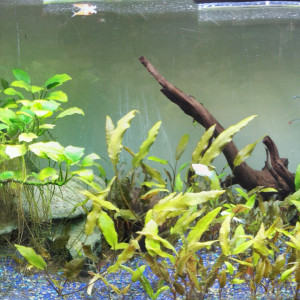 180L