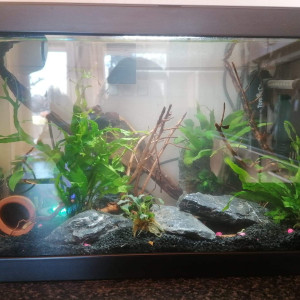 Nano aquarium