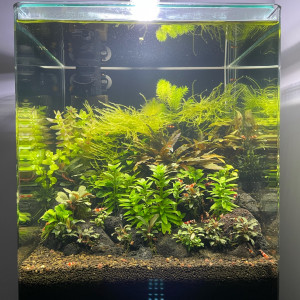 Publication de Luc67