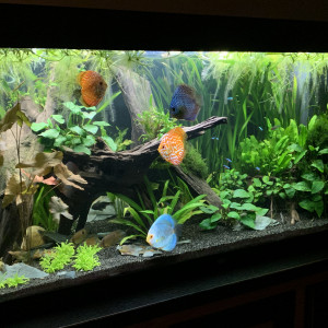 Publication de Juju690