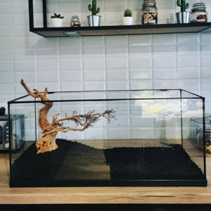 80l