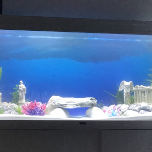 Publication de Jmouaye