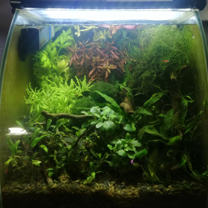 40L