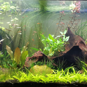 180L