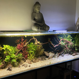 600l