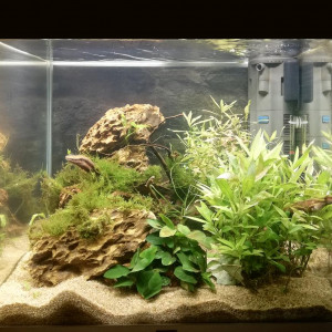 Aquapopo