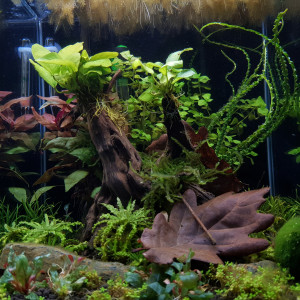Nano30