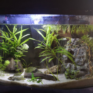 18L