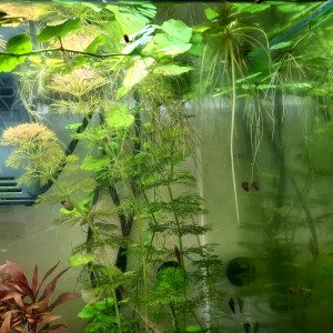 Publication de jess33