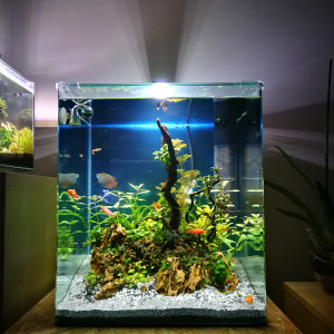 Cube 60L