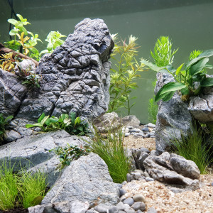 AQUASCAPING