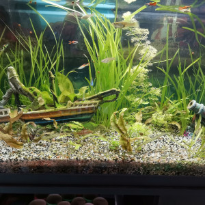 80l