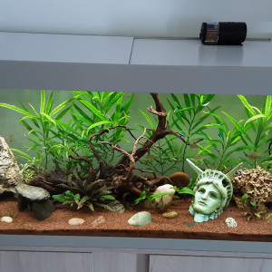Biotope amazonien