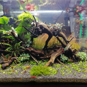 Nano 35L