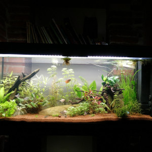 120 L