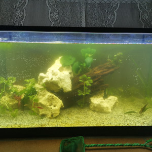 54 L