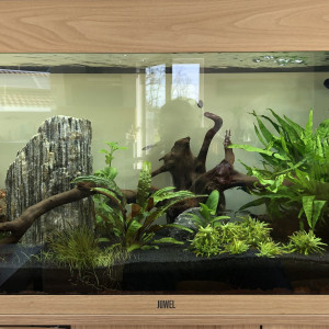 Jbs aquarium