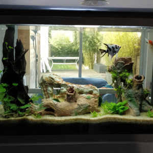 Aquarium