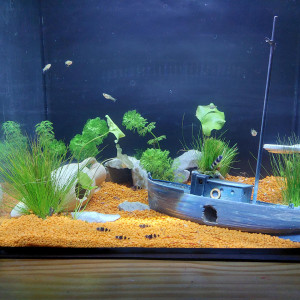 fluval flex 57