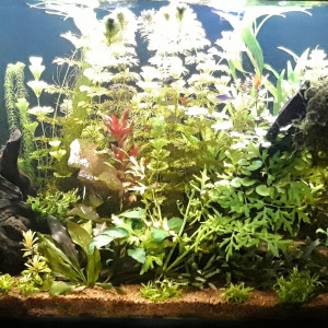 400litres