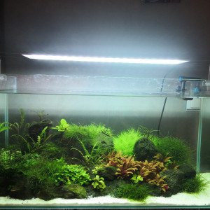 Aquarium eau douce de 112l