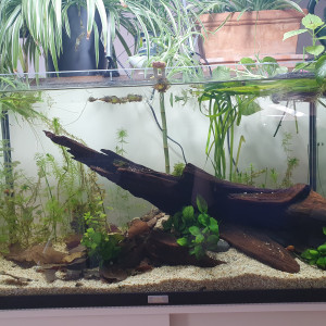 Low tech 110