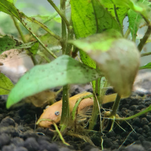 Publication de Margaux9105