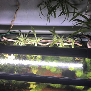 80L