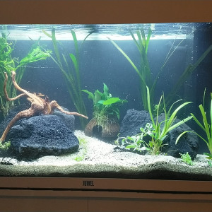 125 L