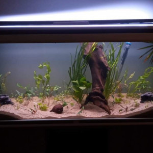 400L salon