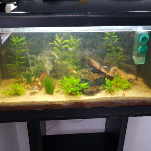 100l