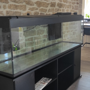 Biotope africain